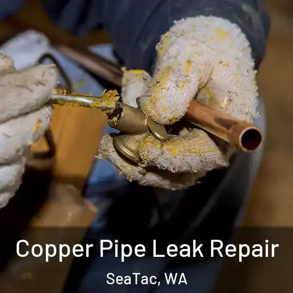  Copper Pipe Leak Repair SeaTac, WA