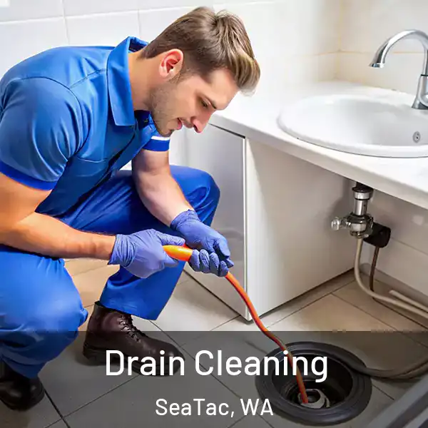  Drain Cleaning SeaTac, WA