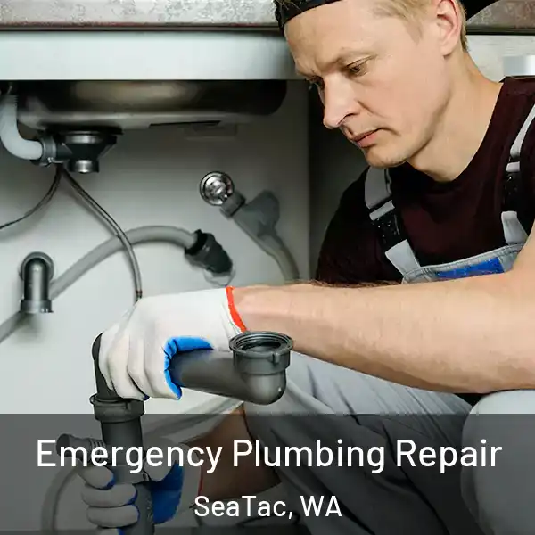  Emergency Plumbing Repair SeaTac, WA