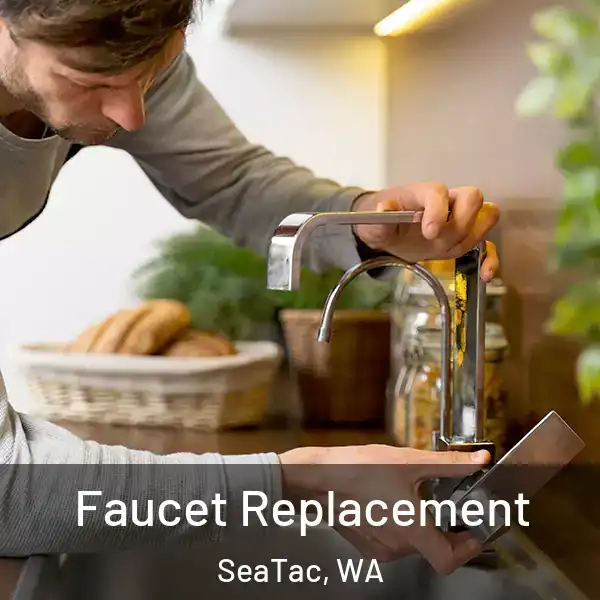  Faucet Replacement SeaTac, WA