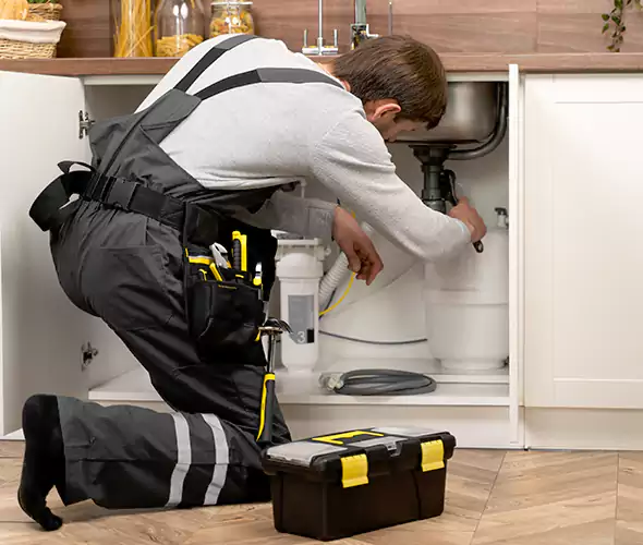 Certified Plumbers for Insinkerator Installation in SeaTac