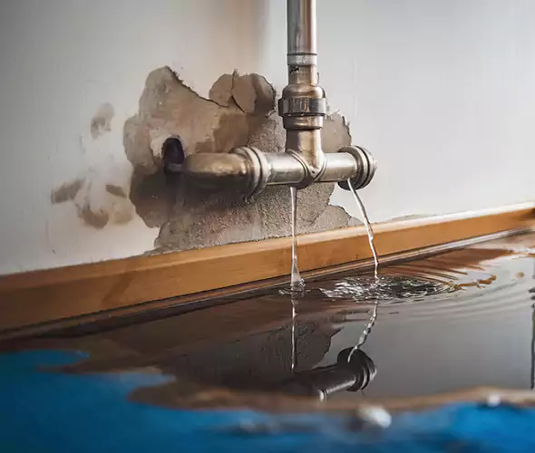 Professional Water Damage Restoration Experts in SeaTac, WA — Fast, Reliable & Certified