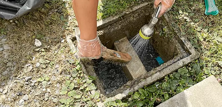 Professional Grease Trap Cleaning Services in SeaTac, WA