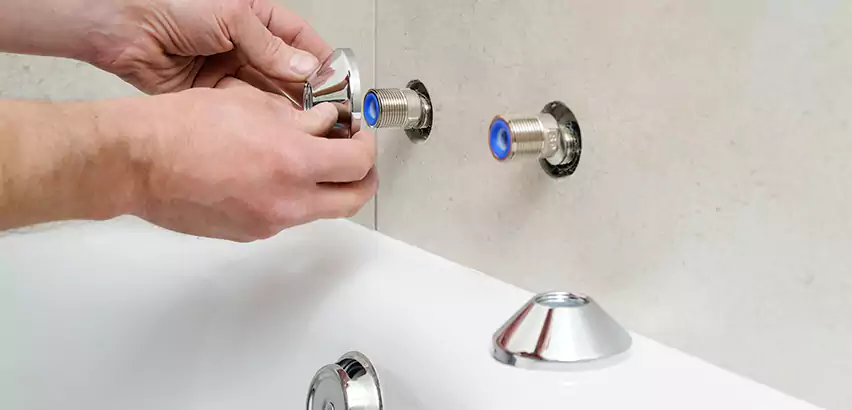 Bathtub Faucet Diverter Replacement in SeaTac