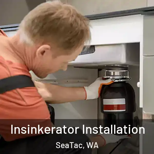  Insinkerator Installation SeaTac, WA