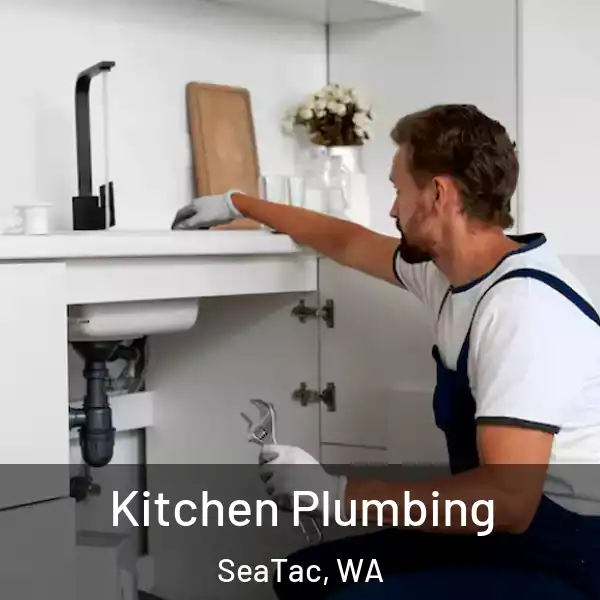  Kitchen Plumbing SeaTac, WA