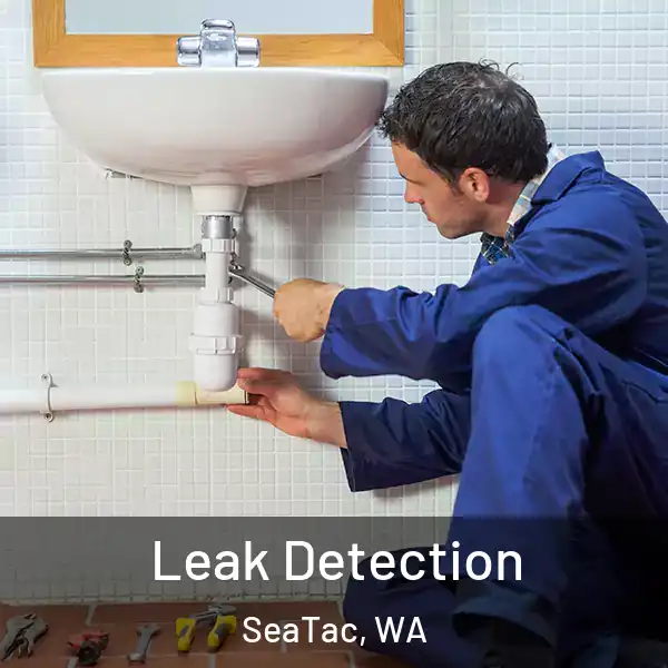  Leak Detection SeaTac, WA