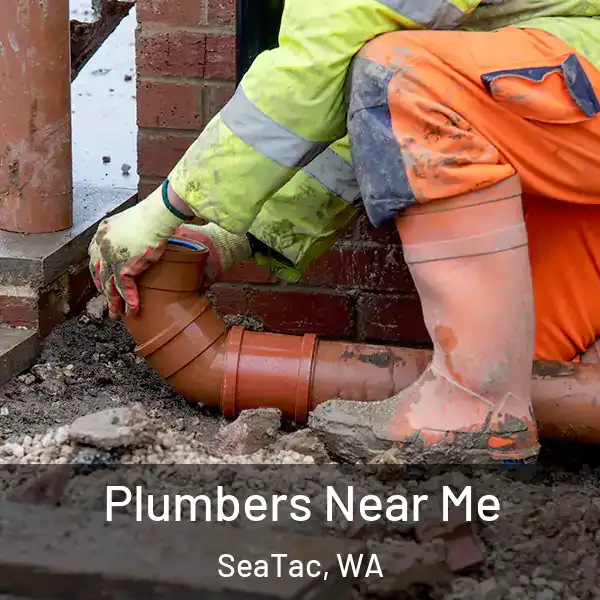  Plumbers Near Me SeaTac, WA