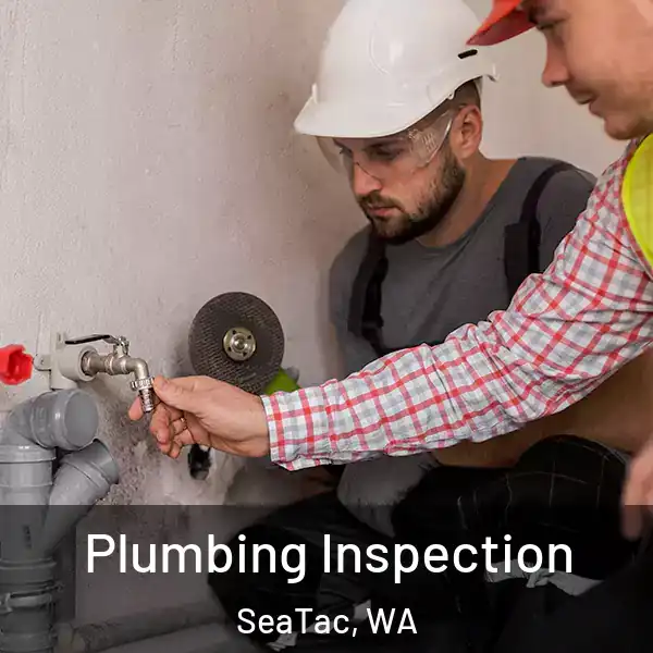  Plumbing Inspection SeaTac, WA