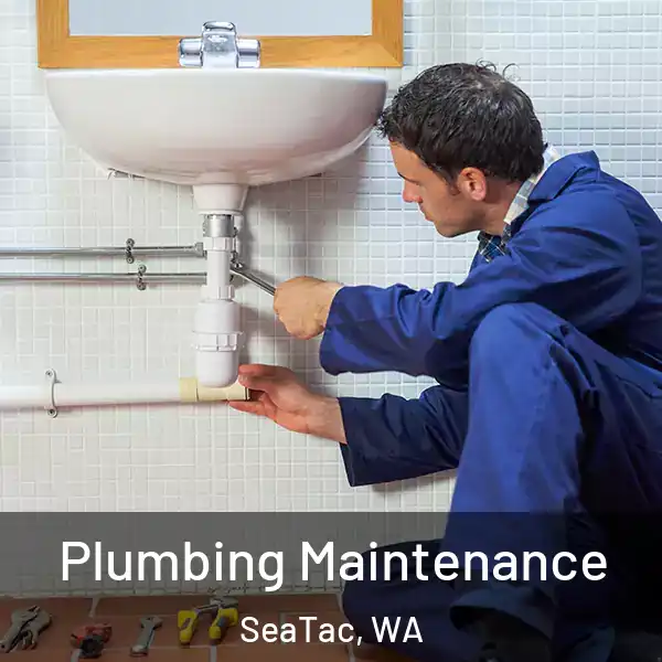  Plumbing Maintenance SeaTac, WA