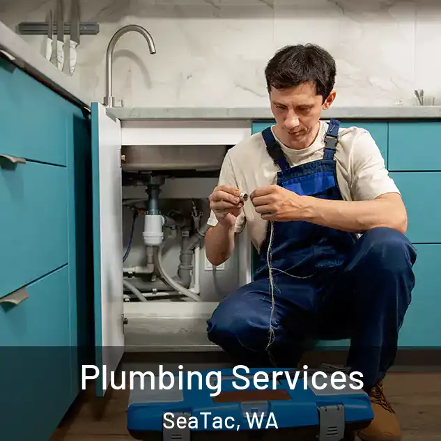  Plumbing Services SeaTac, WA