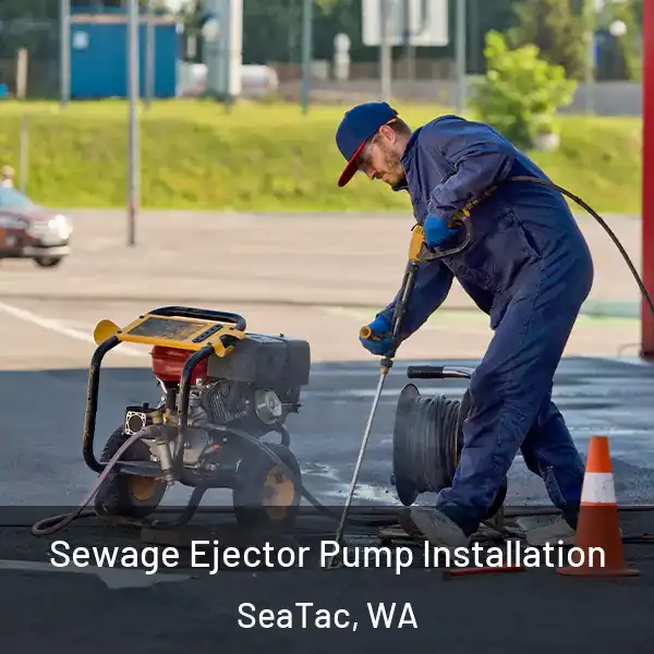  Sewage Ejector Pump Installation SeaTac, WA