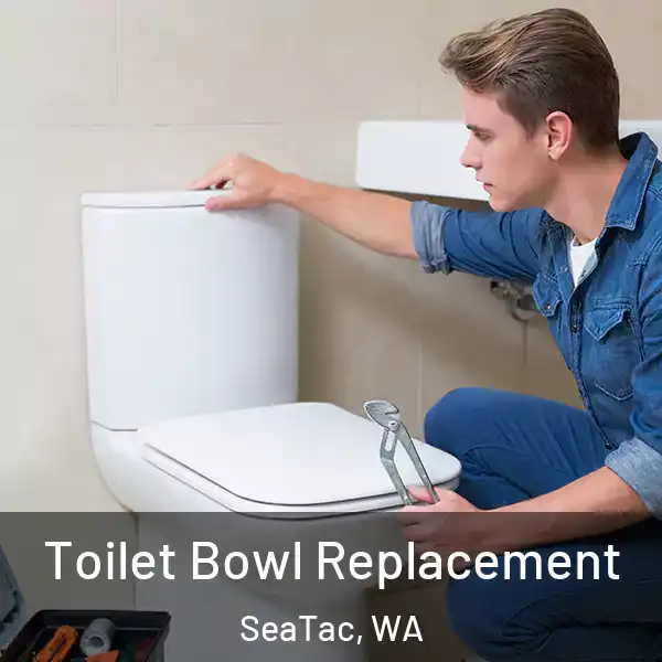  Toilet Bowl Replacement SeaTac, WA