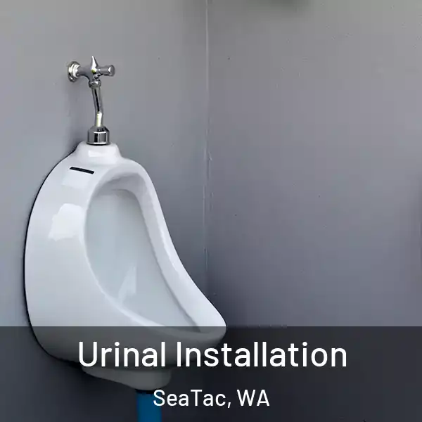  Urinal Installation SeaTac, WA