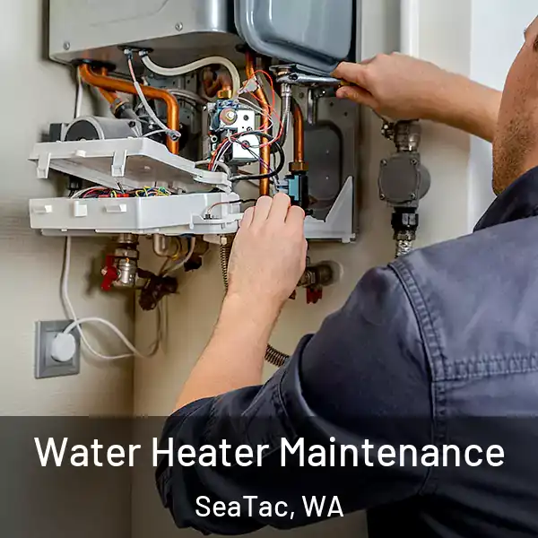  Water Heater Maintenance SeaTac, WA