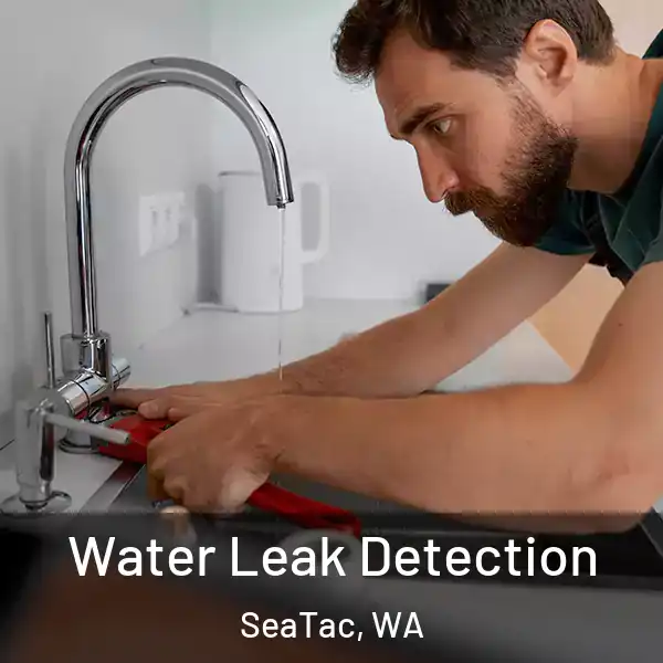  Water Leak Detection SeaTac, WA